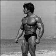 mike.mentzer